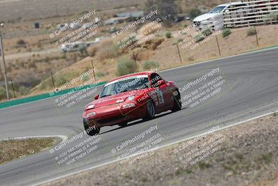 media/May-03-2025-Lucky Dog Racing (Sat) [[206de64b9d]]/Turn 4 B (1150am-130pm)/